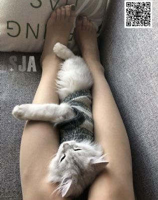 三年片最新电影免费观看_影视大全在线观看